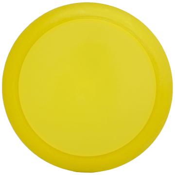 Innova Luster Champion Destroyer Blank