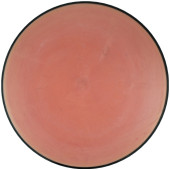 MVP Disc Sports Neutron Entropy