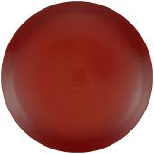 Prodigy Disc Ace ProFlex F Model S Misprint