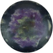 Dynamic Discs Lucid Trespass