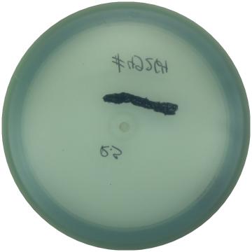 Prodiscus Premium ROCKET Blank