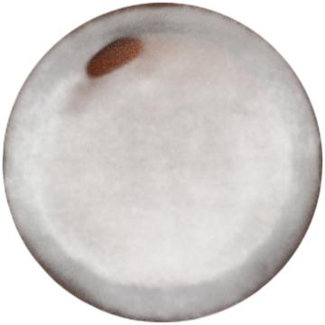 Prodigy Disc 400 Glimmer X4 Blank