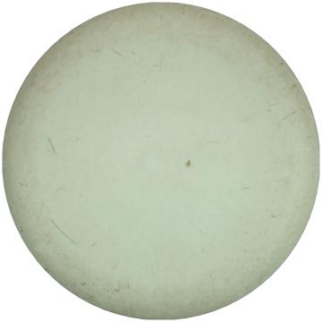 Discmania D-Line Flex 3 P1 Blank