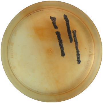 Prodigy Disc 400 F1 Proto