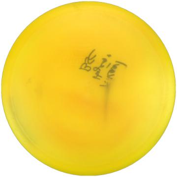 Innova Champion Caiman