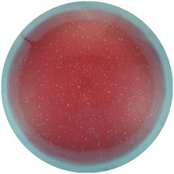 Innova Metal Flake Halo Champion Roc Worlds Edition