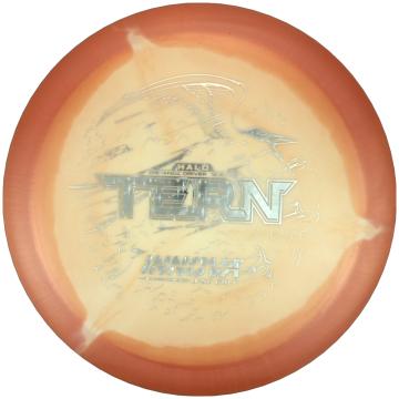 Innova Halo Star Tern